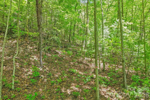 11 Magnolia Branch Drive, Zirconia, NC 28790