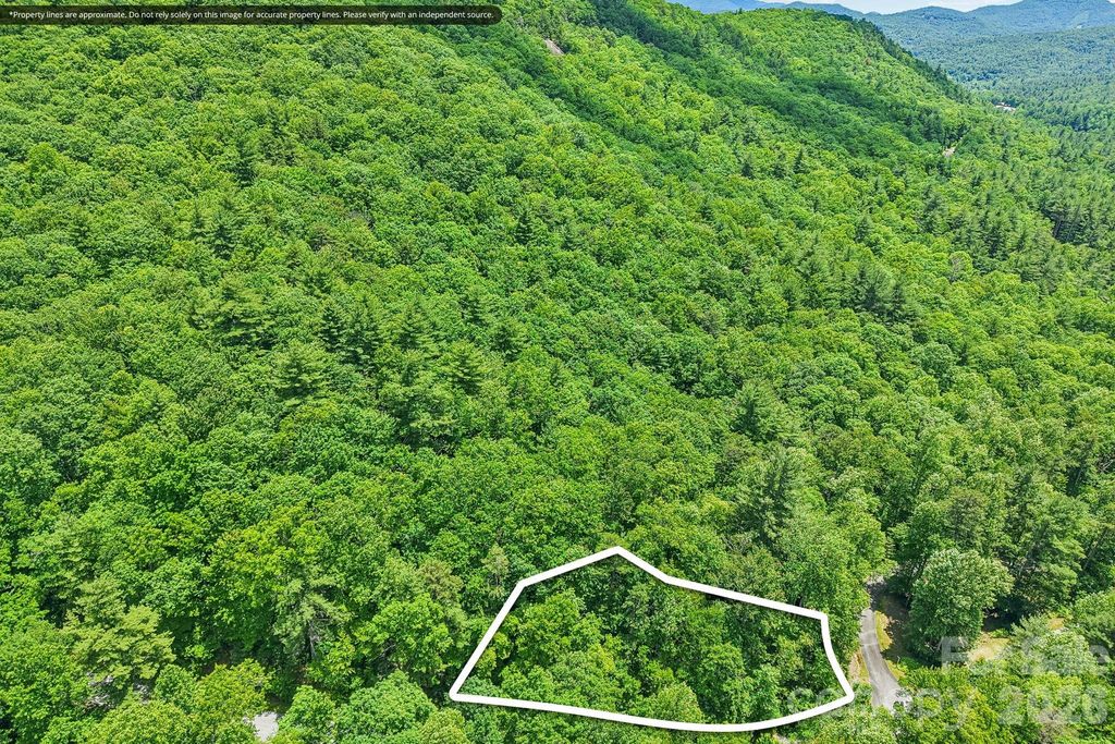 11 Magnolia Branch Drive, Zirconia, NC 28790