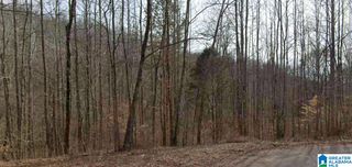 00 HERITAGE CREEK DRIVE, Springville, AL 35146