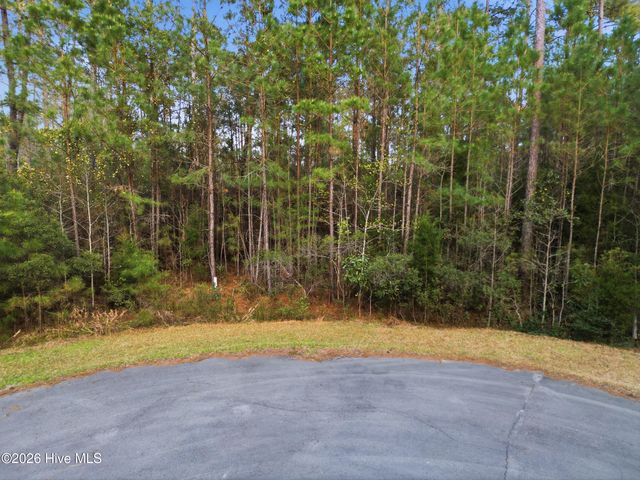 121 Mason Lane, Merritt, NC 28556