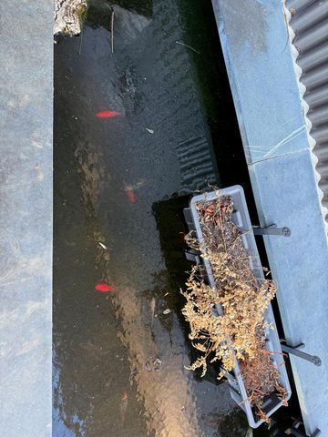 1141 Dobbins Farm RD, Floyd, VA 24091