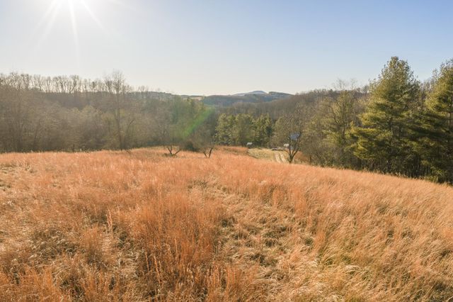 1141 Dobbins Farm RD, Floyd, VA 24091