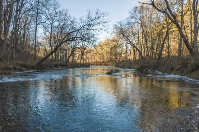 1141 Dobbins Farm RD, Floyd, VA 24091