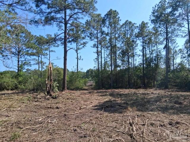 5599 Del Rey St, Milton, FL 32583