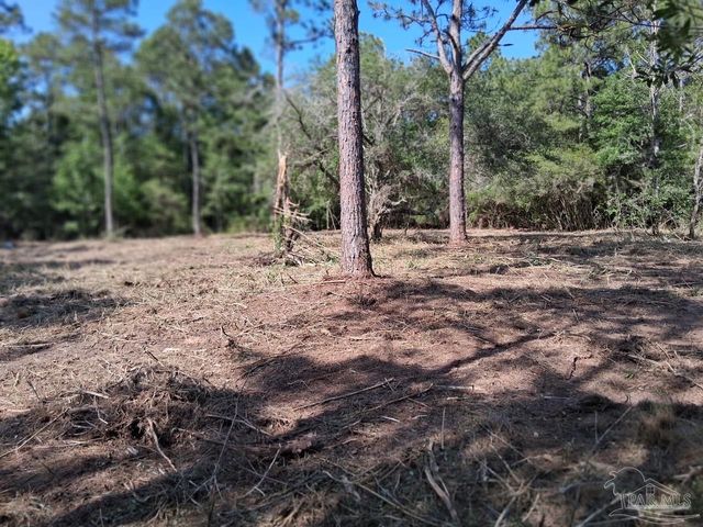 5599 Del Rey St, Milton, FL 32583