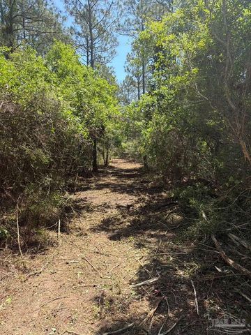 5599 Del Rey St, Milton, FL 32583
