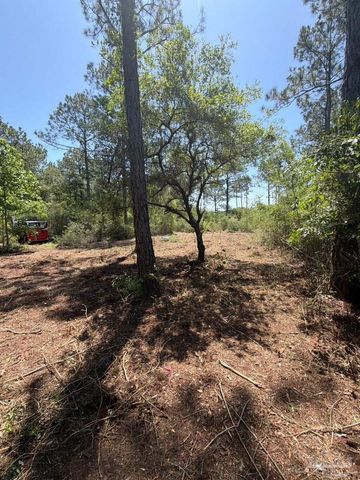 5599 Del Rey St, Milton, FL 32583