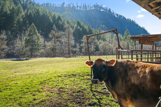 18781 E Evans Creek Road, Rogue River, OR 97537