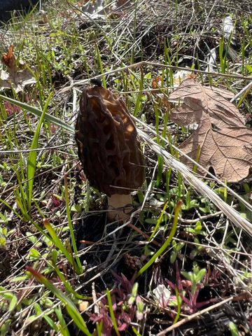 18781 E Evans Creek Road, Rogue River, OR 97537