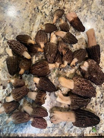 18781 E Evans Creek Road, Rogue River, OR 97537