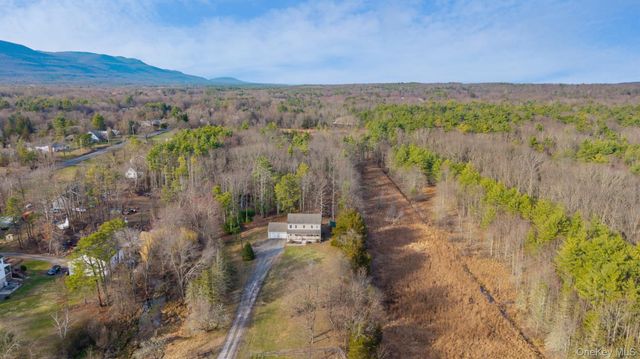 226 Blue Mountain Road, Saugerties, NY 12477