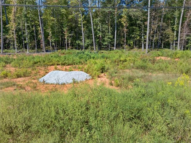 2215 Kings Forest SE Drive, Conyers, GA 30013