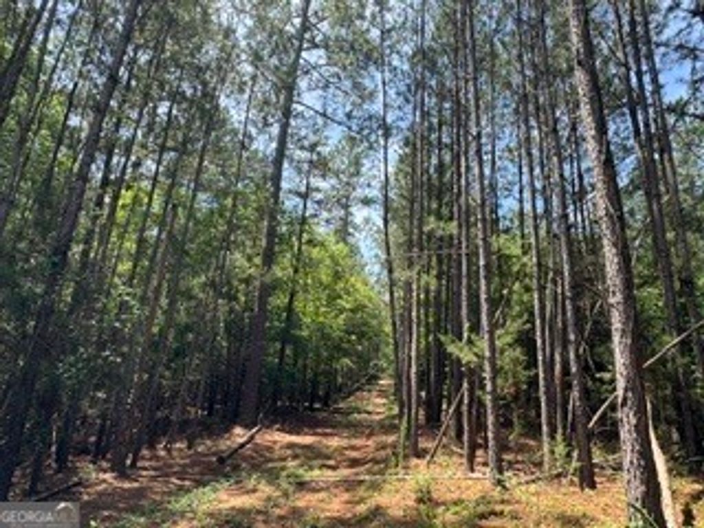 2062 Fisher Lane, Elberton, GA 30635 — photo 4