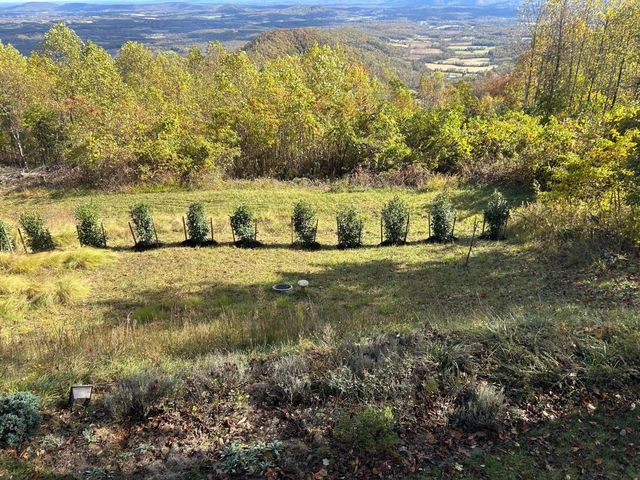 490 Lookout Ridge LN, Copper Hill, VA 24079