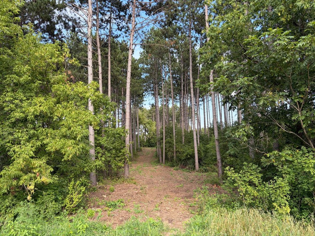 (Lot 6) TBD Tulip Street NW, Stanchfield, MN 55080 — exterior