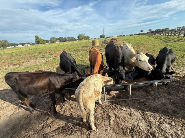 25250 E SR 64, Myakka City, FL 34251