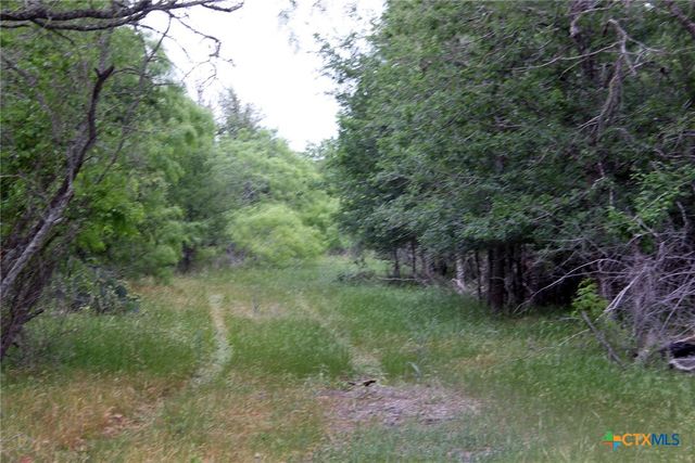 7887 Pettytown Road, Red Rock, TX 78662