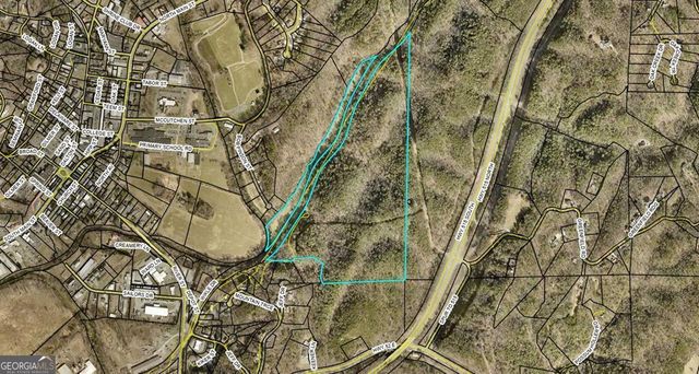 460 Wikle Drive, Ellijay, GA 30540