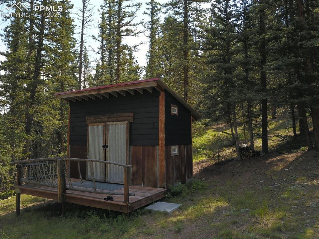 10223 Trail Creek Road, Florissant, CO 80816 — photo 4