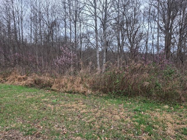 0 Hunters Landing Ln, Smithville, TN 37166