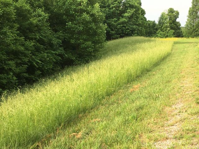 0 Hunters Landing Ln, Smithville, TN 37166