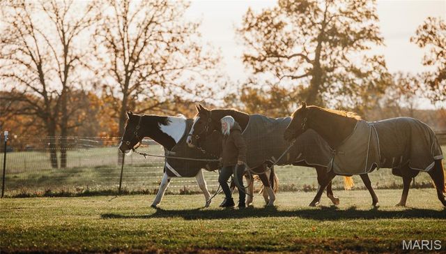 17265 County Road 8280, Rolla, MO 65401