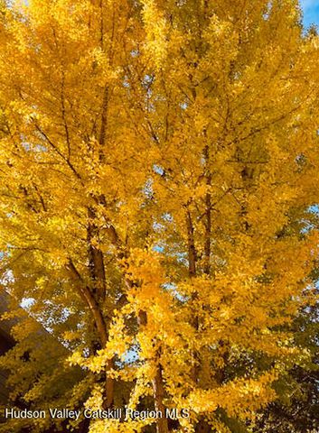 28 Hudson Street, Kinderhook, NY 12106