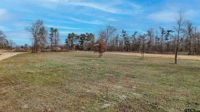 TBD CR 2123, Whitehouse, TX 75791