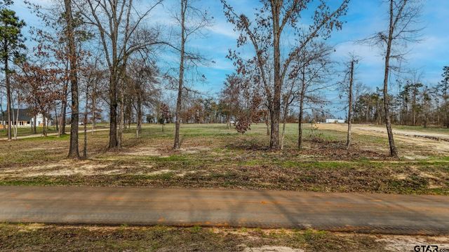 TBD CR 2123, Whitehouse, TX 75791