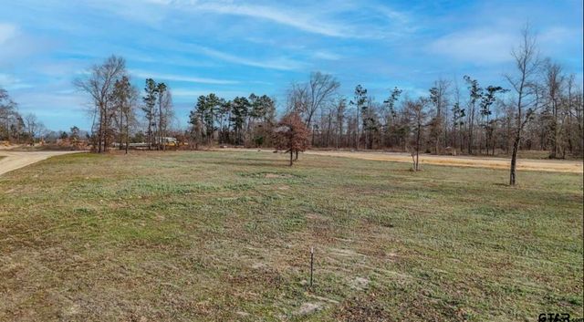 TBD CR 2123, Whitehouse, TX 75791