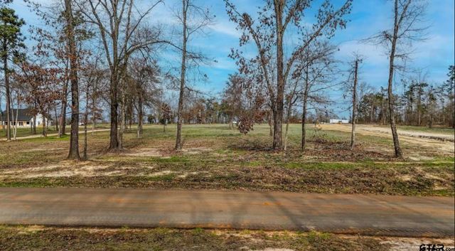 TBD CR 2123, Whitehouse, TX 75791