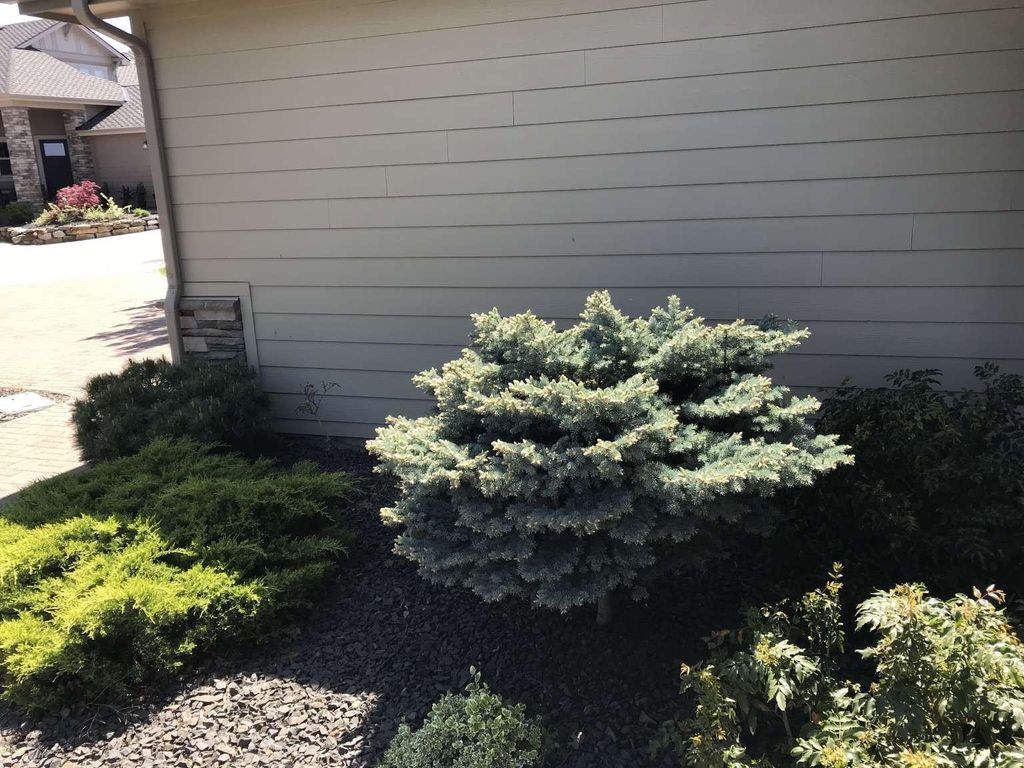 24443 E PINNACLE Ct, Liberty Lake, WA 99019 photo 4