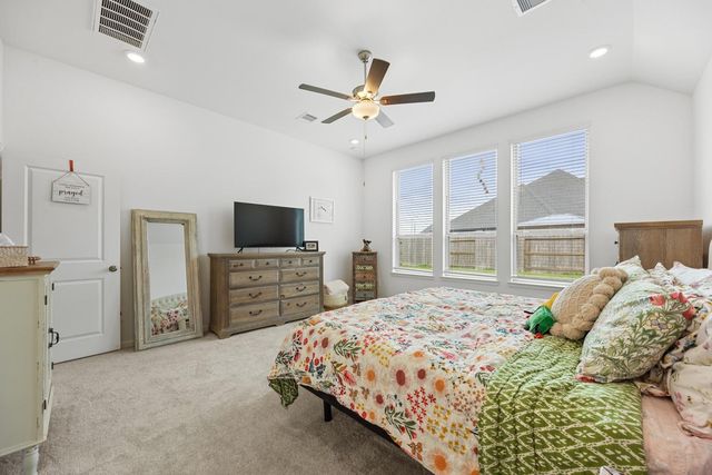 17410 Aurora Haven Drive, Hockley, TX 77447