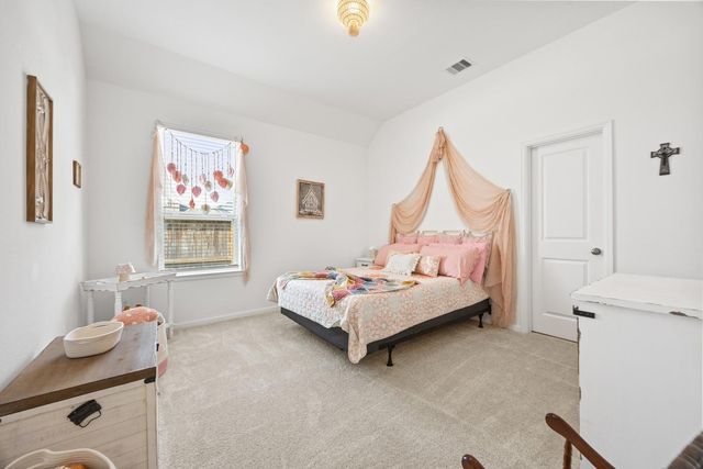 17410 Aurora Haven Drive, Hockley, TX 77447