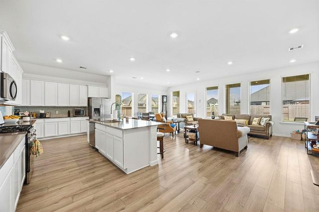 17410 Aurora Haven Drive, Hockley, TX 77447
