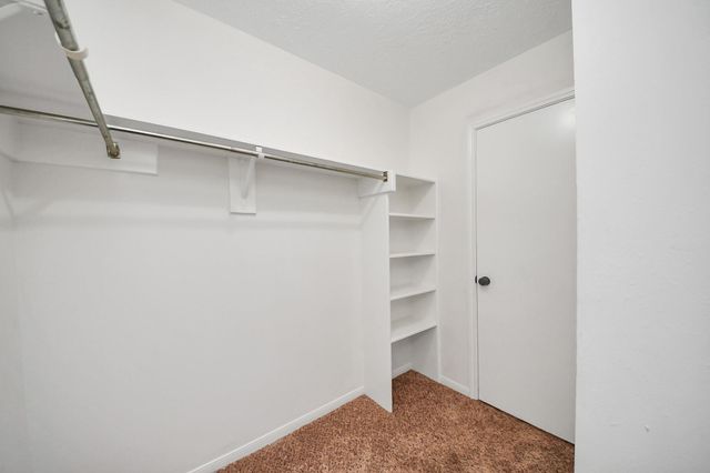 4915 Pecan Grove Drive, Pearland, TX 77584