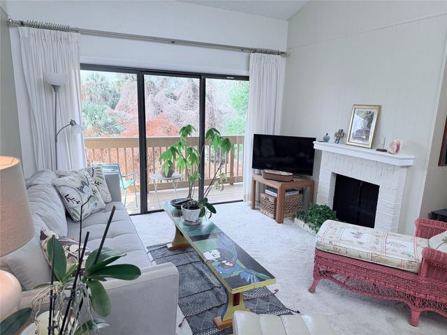 1051 S HIGHLAND STREET 3D, Mount Dora, FL 32757