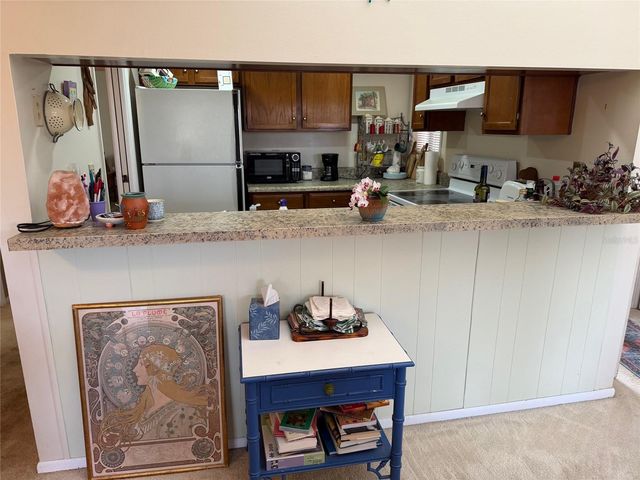 1051 S HIGHLAND STREET 3D, Mount Dora, FL 32757