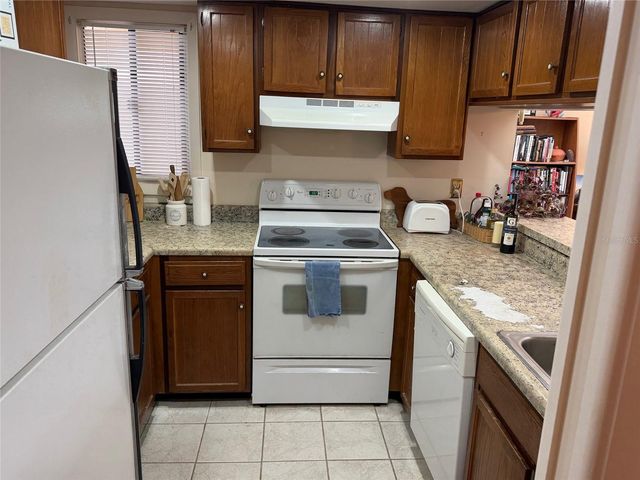 1051 S HIGHLAND STREET 3D, Mount Dora, FL 32757