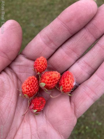 10025 Grand Blanc Road, Gaines Township, MI 48436