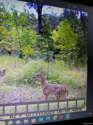 10025 Grand Blanc Road, Gaines Township, MI 48436