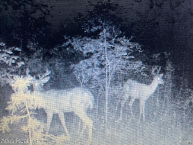 10025 Grand Blanc Road, Gaines Township, MI 48436