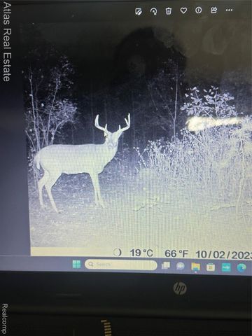 10025 Grand Blanc Road, Gaines Township, MI 48436