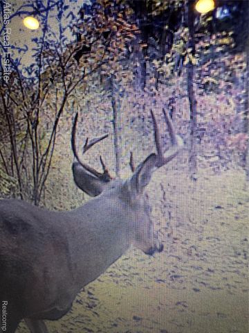 10025 Grand Blanc Road, Gaines Township, MI 48436