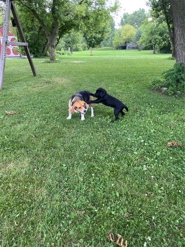 10025 Grand Blanc Road, Gaines Township, MI 48436