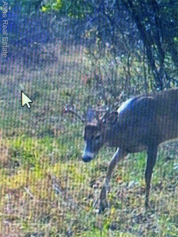 10025 Grand Blanc Road, Gaines Township, MI 48436