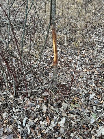 10025 Grand Blanc Road, Gaines Township, MI 48436