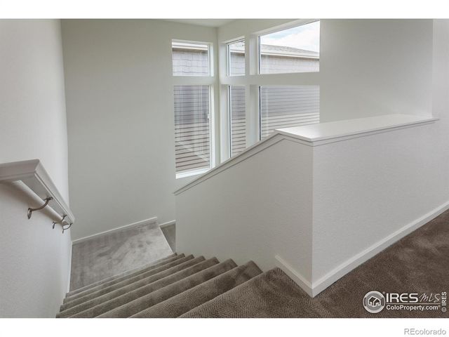 6113 Saddle Horn Drive, Timnath, CO 80547