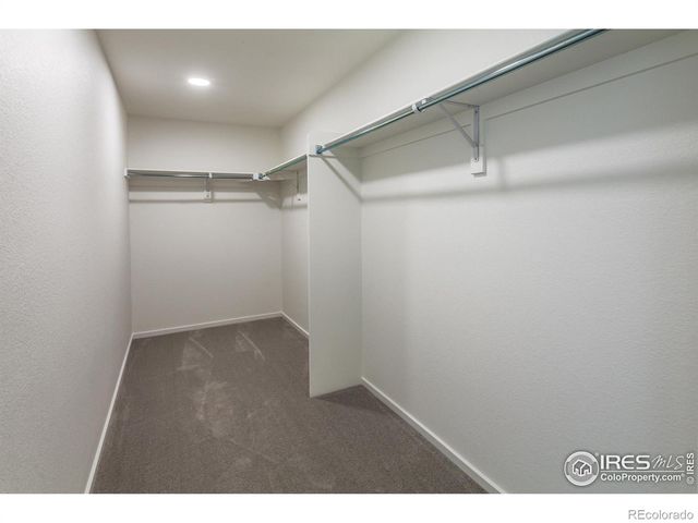 6113 Saddle Horn Drive, Timnath, CO 80547