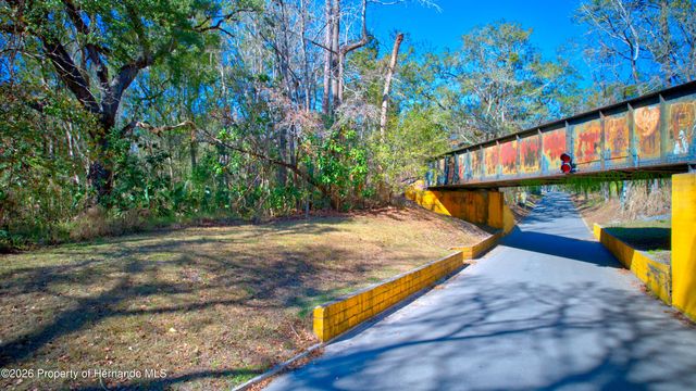 0 Stafford Avenue, Brooksville, FL 34601